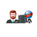 profesional hosting wordpress